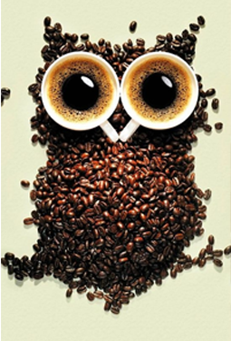 Hoot.png