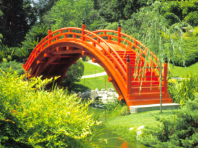 Orange.png